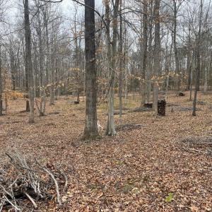 Photo #13 of 13220 BLACKWOOD FOREST DR, GOLDVEIN, VA 10.9 acres