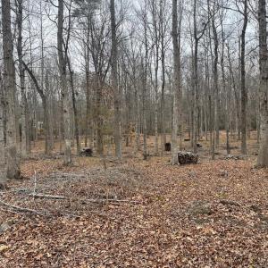 Photo #14 of 13220 BLACKWOOD FOREST DR, GOLDVEIN, VA 10.9 acres