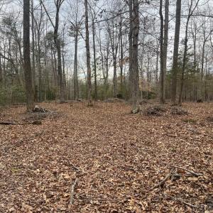 Photo #15 of 13220 BLACKWOOD FOREST DR, GOLDVEIN, VA 10.9 acres