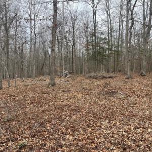 Photo #17 of 13220 BLACKWOOD FOREST DR, GOLDVEIN, VA 10.9 acres