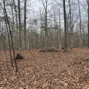 Photo #18 of 13220 BLACKWOOD FOREST DR, GOLDVEIN, VA 10.9 acres