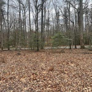 Photo #19 of 13220 BLACKWOOD FOREST DR, GOLDVEIN, VA 10.9 acres