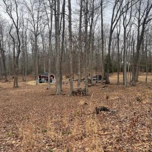 Photo #21 of 13220 BLACKWOOD FOREST DR, GOLDVEIN, VA 10.9 acres