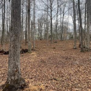 Photo #22 of 13220 BLACKWOOD FOREST DR, GOLDVEIN, VA 10.9 acres