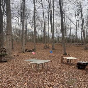 Photo #23 of 13220 BLACKWOOD FOREST DR, GOLDVEIN, VA 10.9 acres