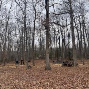 Photo #24 of 13220 BLACKWOOD FOREST DR, GOLDVEIN, VA 10.9 acres