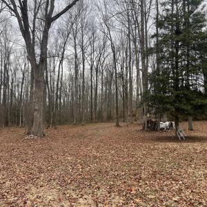 Photo #26 of 13220 BLACKWOOD FOREST DR, GOLDVEIN, VA 10.9 acres