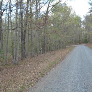 Photo #5 of 13220 BLACKWOOD FOREST DR, GOLDVEIN, VA 10.9 acres