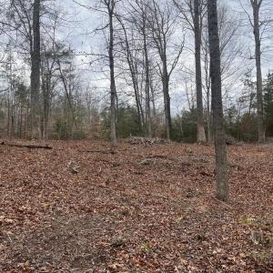 Photo #20 of 13220 BLACKWOOD FOREST DR, GOLDVEIN, VA 10.9 acres