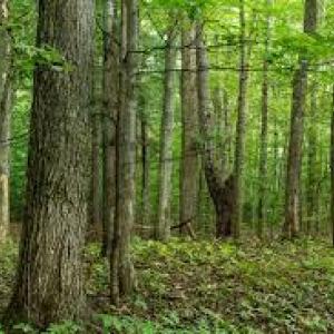 Photo #1 of 3964 HIDDEN VALLEY LN, MARSHALL, VA 5.0 acres