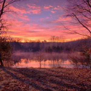 Photo #16 of LAKESHORE DR, LOUISA, VA 0.4 acres