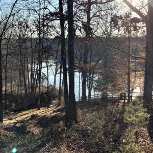 Photo #6 of LAKESHORE DR, LOUISA, VA 0.4 acres