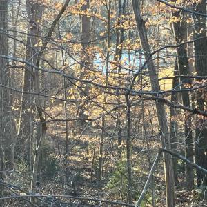 Photo #4 of LAKESHORE DR, LOUISA, VA 0.4 acres