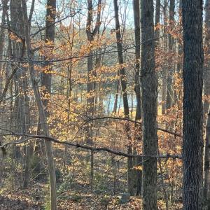 Photo #3 of LAKESHORE DR, LOUISA, VA 0.4 acres