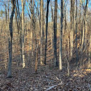 Photo #7 of LAKESHORE DR, LOUISA, VA 0.4 acres