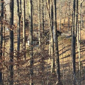 Photo #8 of LAKESHORE DR, LOUISA, VA 0.4 acres