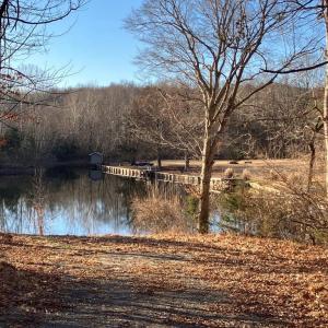 Photo #10 of LAKESHORE DR, LOUISA, VA 0.4 acres