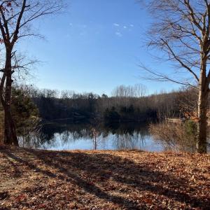 Photo #11 of LAKESHORE DR, LOUISA, VA 0.4 acres