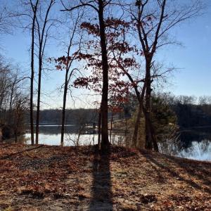 Photo #12 of LAKESHORE DR, LOUISA, VA 0.4 acres