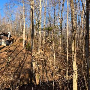 Photo #13 of LAKESHORE DR, LOUISA, VA 0.4 acres