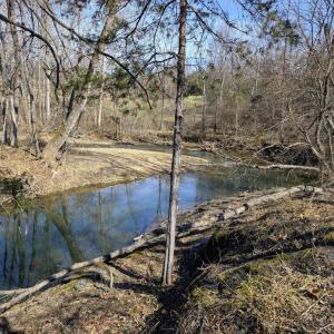 Photo #48 of SLATE MILL RD, STANARDSVILLE, VA 74.9 acres