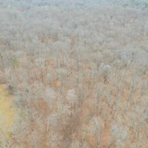 Photo #4 of DEEP RUN MILL ROAD, GOLDVEIN, VA 7.1 acres