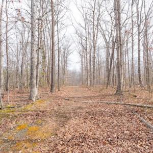 Photo #6 of DEEP RUN MILL ROAD, GOLDVEIN, VA 7.1 acres