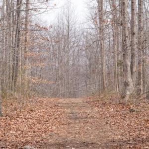 Photo #1 of DEEP RUN MILL ROAD, GOLDVEIN, VA 7.1 acres