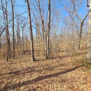 Photo #8 of LAKEFRONT CT, ORANGE, VA 5.3 acres