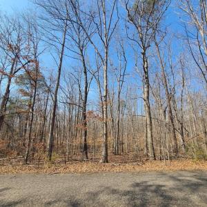 Photo #2 of LAKEFRONT CT, ORANGE, VA 5.3 acres