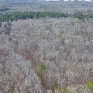 Photo #13 of LAKEFRONT CT, ORANGE, VA 5.3 acres