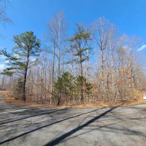 Photo #3 of LAKEFRONT CT, ORANGE, VA 5.3 acres