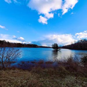 Photo #18 of LAKEFRONT CT, ORANGE, VA 5.3 acres