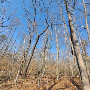 Photo #6 of LAKEFRONT CT, ORANGE, VA 5.3 acres