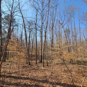 Photo #7 of LAKEFRONT CT, ORANGE, VA 5.3 acres