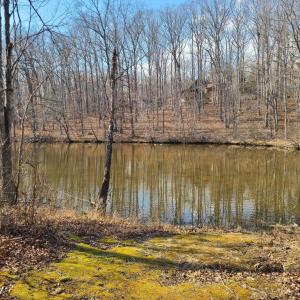 Photo #15 of LAKEFRONT CT, ORANGE, VA 5.3 acres