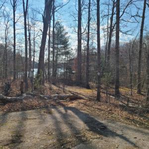 Photo #16 of LAKEFRONT CT, ORANGE, VA 5.3 acres