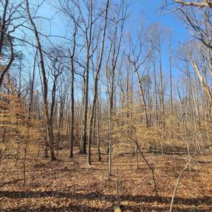 Photo #6 of LAKEFRONT CT, ORANGE, VA 5.3 acres