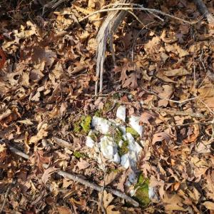 Photo #10 of LAKEFRONT CT, ORANGE, VA 5.3 acres