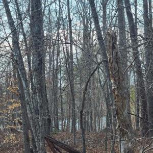 Photo #11 of LAKEFRONT CT, ORANGE, VA 5.3 acres