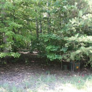 Photo #4 of FISHER DRIVE, MINERAL, VA 2.0 acres