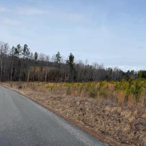 Photo #5 of  35.0 acres