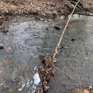 Photo #10 of  35.0 acres