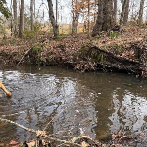 Photo #13 of  35.0 acres