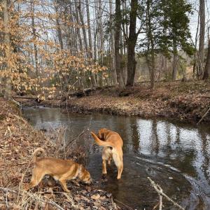 Photo #16 of  35.0 acres