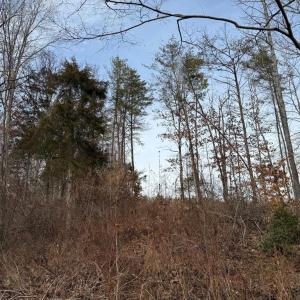 Photo #20 of  35.0 acres