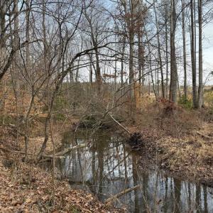 Photo #22 of  35.0 acres