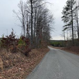 Photo #43 of  35.0 acres