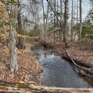 Photo #2 of  35.0 acres