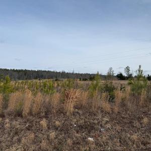 Photo #8 of  35.0 acres